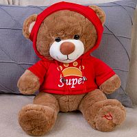 Картинка Мягкая игрушка Медведь 30 см в красной толстовке ТО-МА-ТО DL203006908R 4610136044289