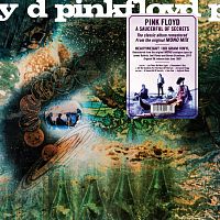 Картинка Pink Floyd A Saucerful Of Secrets (MONO) (LP) Pink Floyd Records 399551 190295506889
