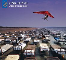 Картинка Pink Floyd A Momentary Lapse Of Reason Remixed & Updated (2LP) Pink Floyd Records 393302 190295079208