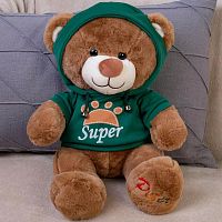 Картинка Мягкая игрушка Медведь 30 см в зеленой толстовке ТО-МА-ТО DL203006908GN 4610136044302