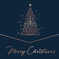 Картинка Merry Christmas Various artists (2LP) Zyx Music 397784 090204526239