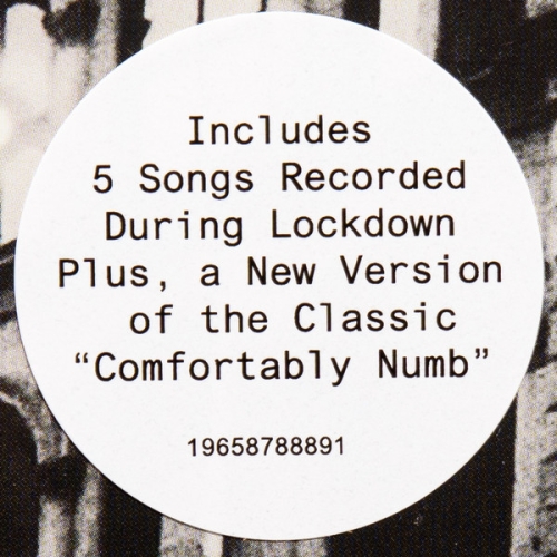 Картинка Roger Waters The Lockdown Sessions (LP) Sony Music 401755 196587888916 фото 5