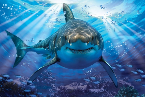 Картинка Пазл 3D Большая белая акула-2 150 деталей Prime3D 10898 670889108984 фото 2
