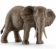 Картинка Африканский слон, самка Schleich 14761 4005086147614