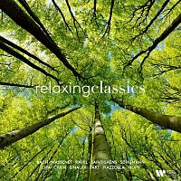 Картинка Relaxing Classics Various Artists (LP) Warner Classics 401576 190296270758