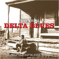 Картинка Essential Delta Blues Various Artists (LP) NotNowMusic 398204 5060397601650