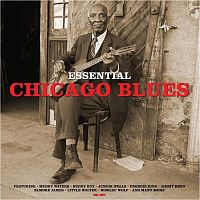 Картинка Essential Chicago Blues Various Artists (LP) NotNowMusic 398218 2038944129394