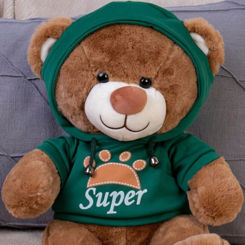 Картинка Мягкая игрушка Медведь 30 см в зеленой толстовке ТО-МА-ТО DL203006908GN 4610136044302 фото 2
