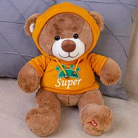 Картинка Мягкая игрушка Медведь 30 см в оранжевой толстовке ТО-МА-ТО DL203006908Y 4610136044296