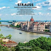 Картинка Johann Strauss Famous Waltsez From Vienna (LP) Bellevue 401195 5711053021625