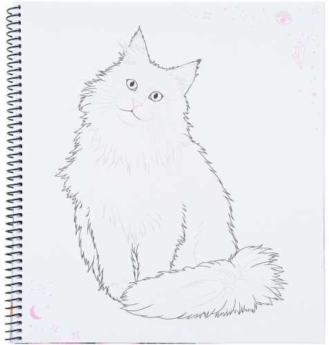 Картинка Альбом для творчества и рисования с наклейками TOPModel Create Your Kitty Котята MOONLIGHT Раскраска Топ модель Создай котенка для девочек 0411663/0011663 4010070596057 фото 3