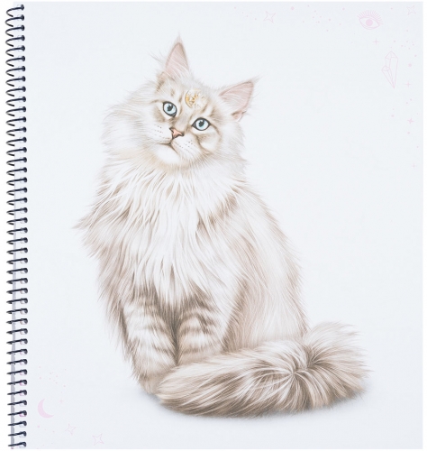 Картинка Альбом для творчества и рисования с наклейками TOPModel Create Your Kitty Котята MOONLIGHT Раскраска Топ модель Создай котенка для девочек 0411663/0011663 4010070596057 фото 5