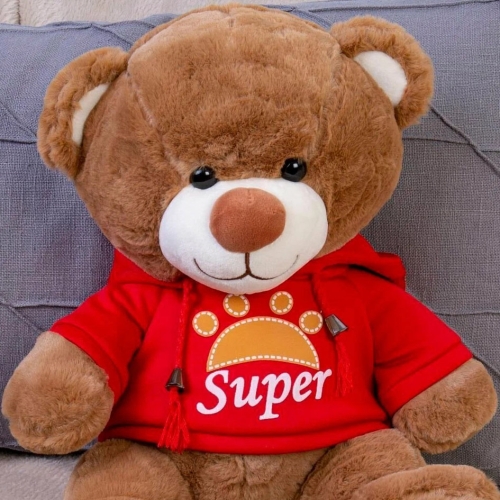 Картинка Мягкая игрушка Медведь 30 см в красной толстовке ТО-МА-ТО DL203006908R 4610136044289 фото 4