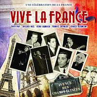 Картинка Vive La France Various Artists (LP) Bellevue Music 398724 5711053021090